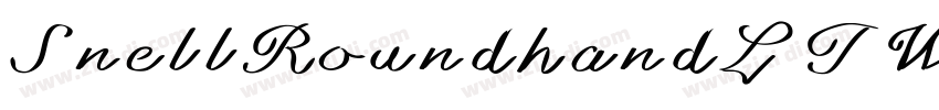 SnellRoundhandLTW03 字体转换